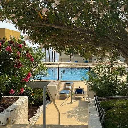 Buenavista * Puerto de Santiago (Tenerife)